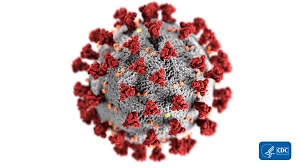 coronavirus